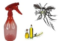 Cách tự chế thuốc xịt muỗi an toàn trong 30 giây