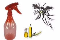 Cách tự chế thuốc xịt muỗi an toàn trong 30 giây