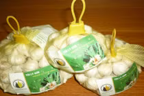 Cách phân biệt tỏi Lý Sơn với các loại tỏi khác