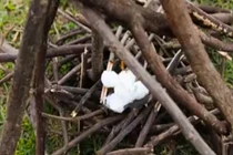 Video: Đi dã ngoại, nhất định phải biết những mẹo này