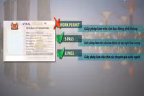 Cảnh báo lừa đảo tuyển lao động sang Singapore