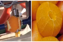 Xem cách người nước ngoài gọt trái cây 