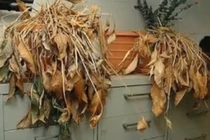 Video: Thần tài “không gõ cửa” nhà bạn nếu bạn phạm 8 sai này