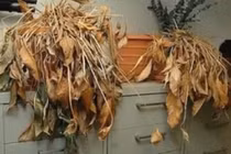 Video: Thần tài “không gõ cửa” nhà bạn nếu bạn phạm 8 sai này