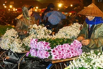 Lung linh chợ hoa đêm vào mùa Tết sớm