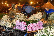 Lung linh chợ hoa đêm vào mùa Tết sớm