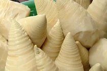 Cách nhận biết măng tươi nhuộm hóa chất