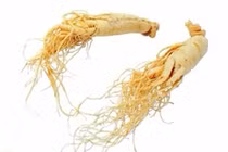 Những người sau sử dụng nhân sâm sẽ biến thành "thuốc độc"