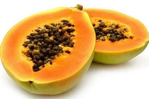 Tác dụng chữa bệnh tuyệt vời của hạt đu đủ