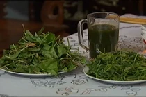 Các loại nước thanh nhiệt giải độc tốt nhất trong ngày hè