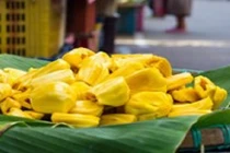 Những công dụng không thể ngờ từ quả mít