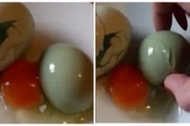 Kỳ lạ trứng gà đẻ ra trứng