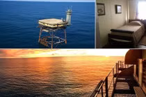 Làm bạn với cá mập tại khách sạn nguy hiểm nhất thế giới