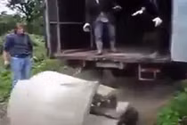 Cười vỡ bụng với những pha nhiệt tình thành phá hoại