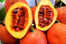 Những sai lầm nghiêm trọng khi ăn gấc có thể gây độc