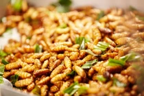 Đừng làm điều này khi ăn nhộng tằm kẻo có ngày chết oan