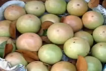 Những công dụng không ngờ của vú sữa