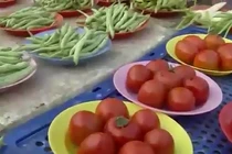 Chợ đồng giá chỉ 5.000 đồng hút người tiêu dùng