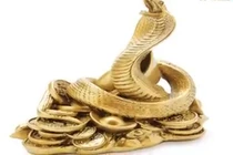 Video: Xem tử vi người tuổi Tỵ qua từng tháng âm lịch năm 2018