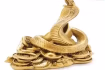 Video: Xem tử vi người tuổi Tỵ qua từng tháng âm lịch năm 2018