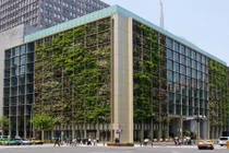 Ngỡ ngàng với rau và lúa được trồng trong tòa cao ốc hiện đại