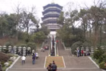 Chùa 1.000 năm tuổi “ngập” trong tiền ở Trung Quốc