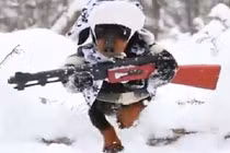 Clip Chú chó cầm súng đi săn gây sốt mạng