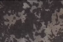 Hãi hùng bọ đầu đen nhung nhúc trong nhà dân ở Đồng Nai