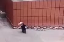 Clip: Cái kết cay đắng khi đi xe máy cầm ô