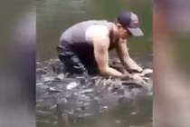 Chàng trai chơi đùa với cá như bạn thân gây sốt mạng