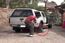 Con trai giả chết dọa mẹ già sợ khóc thét