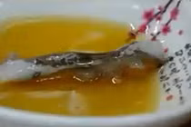 Video: Có ai dám ăn những món này?