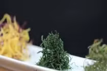 Video: Mẹo chiên rau củ vàng tươi và giòn rụm