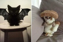 Muôn kiểu thời trang của động vật