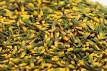 Điều ít biết về “thần dược” chữa mất ngủ hiệu quả