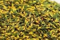 Điều ít biết về “thần dược” chữa mất ngủ hiệu quả