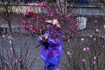 Thời tiết miền Bắc từ nay đến ngày ông Công, ông Táo