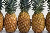 Những công dụng tuyệt vời của vỏ dứa bạn nên biết