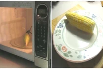 Cách luộc ngô bằng lò vi sóng trong 3 phút