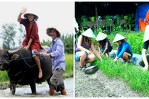 3 loại hình du lịch dân dã của VN hút khách Tây