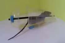 Cách làm bẫy chuột đơn giản mà hiệu quả bất ngờ