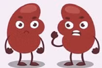 8 dấu hiệu cảnh báo thận không khỏe