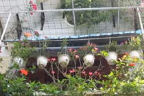 Video: 7 điềm báo xui xẻo khiến gia đình gặp tai họa khó lường