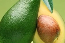 Video: Các lợi ích sức khỏe bất ngờ từ hạt bơ