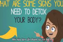 Khi nào bạn cần thanh lọc cơ thể?