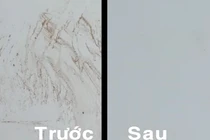 Mẹo đánh bay 5 loại vết bẩn trên tường nhà