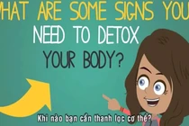 Khi nào bạn cần thanh lọc cơ thể?