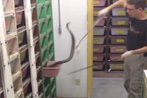 Việc nhẹ lương cao nhưng ít ai dám làm