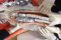 Tinh vi giấu sản phẩm làm từ động vật hoang dã trong bụng cá