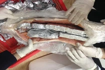 Tinh vi giấu sản phẩm làm từ động vật hoang dã trong bụng cá